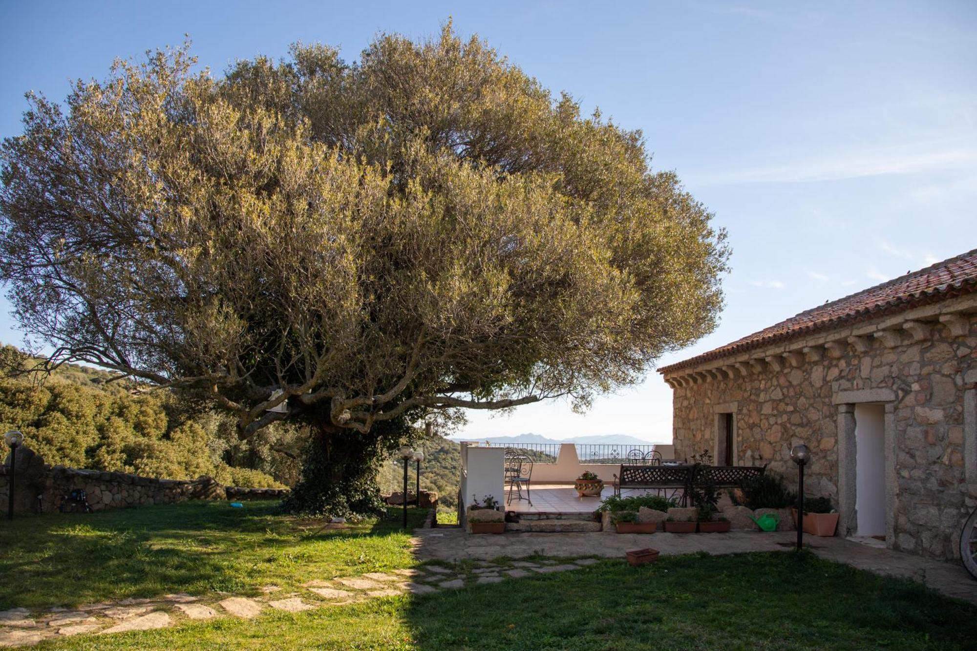 Villa Cantina&Agriturismo Canu Luogosanto Exterior foto